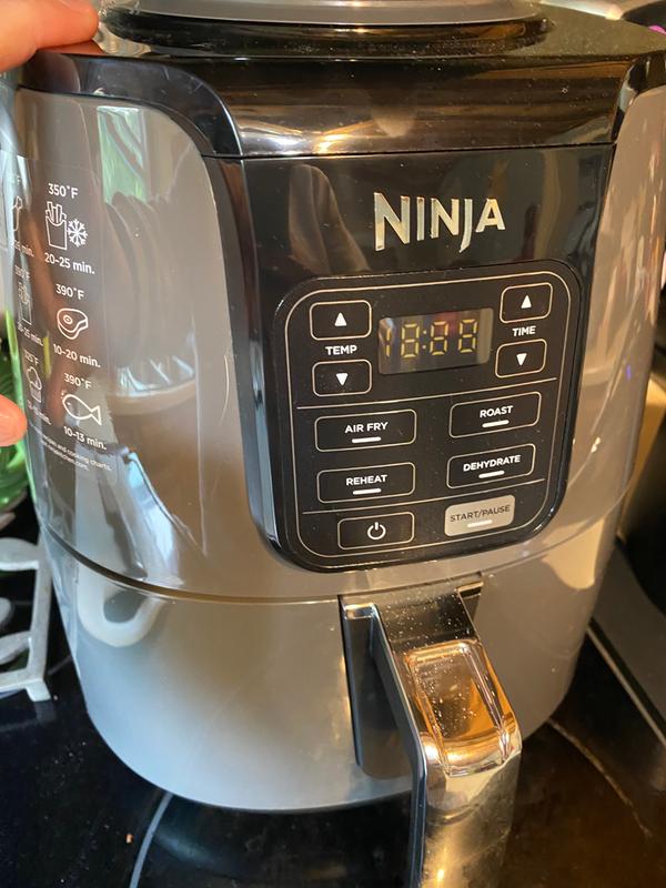 Ninja air fryer AF100 Vs AF101 - KitchensPet