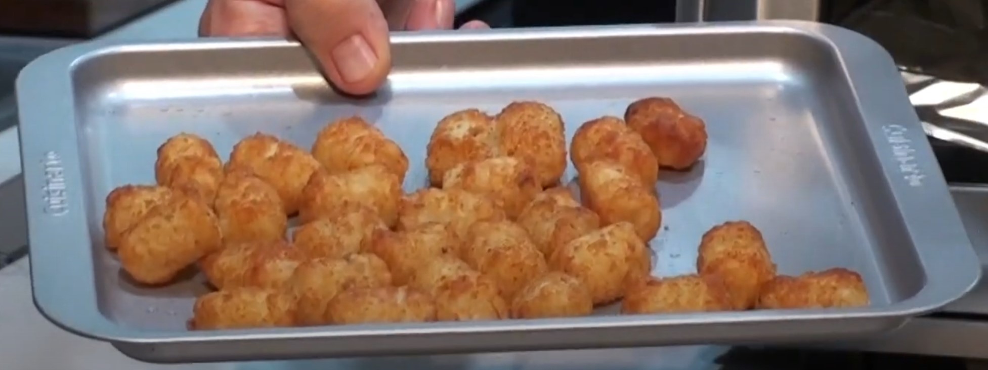 Cuisinart Convection Steam Oven InDepth Review with Pictures