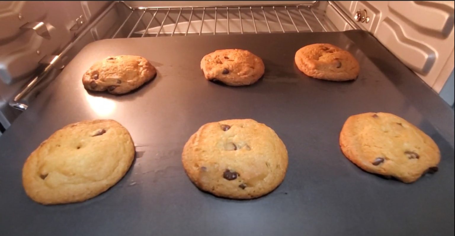 Instant Omni Plus 11in1 Toaster Oven InDepth Review